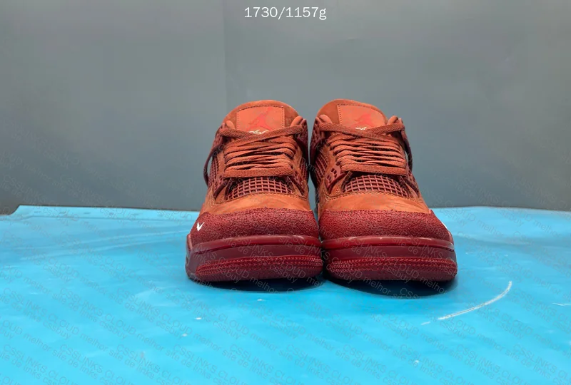 Air Jordan 4 Nigel Sylvester 3