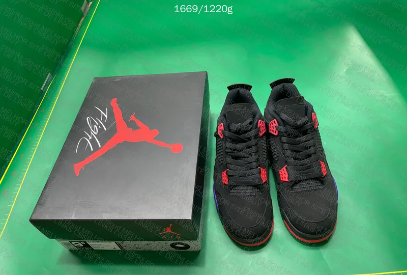 Air Jordan 4 Raptor 4