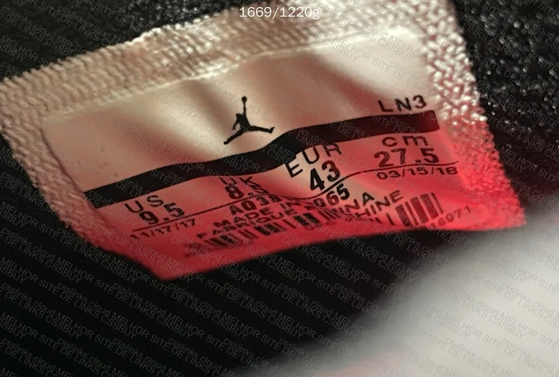 Air Jordan 4 Raptor 5