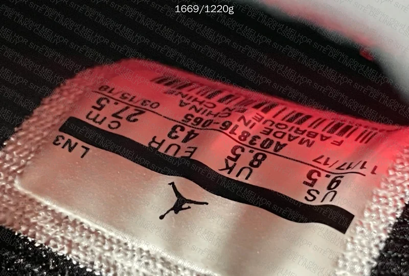 Air Jordan 4 Raptor 6