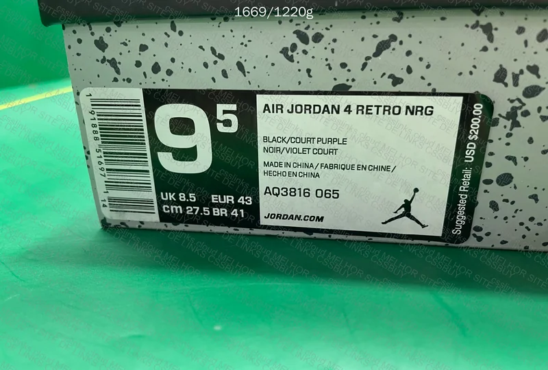 Air Jordan 4 Raptor 9