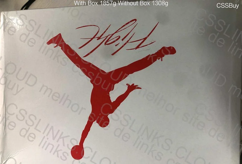Air Jordan 4 OK? 6