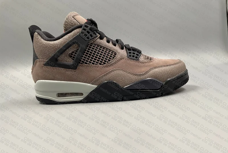 Air Jordan 4 Taupe 4
