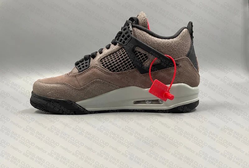 Air Jordan 4 Taupe 5