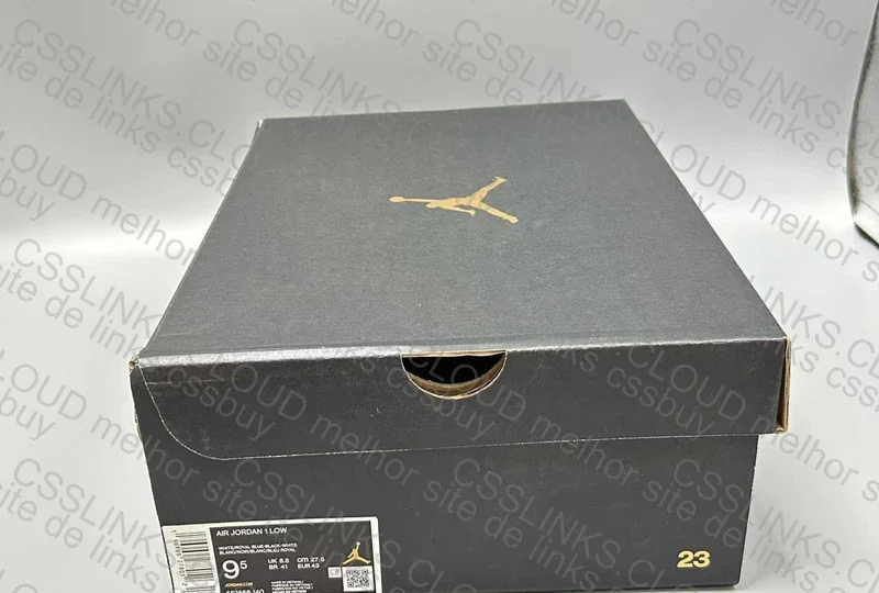Air Jordan Low 1 10