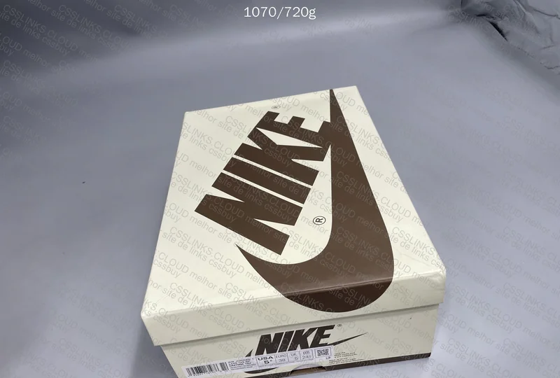 Air Jordan Travis Scott 10