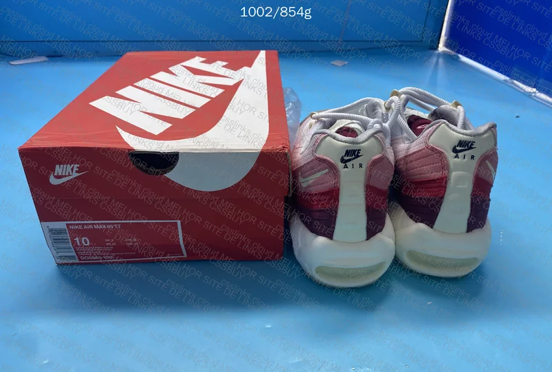 Air Max 95 Anatomy of Air 2