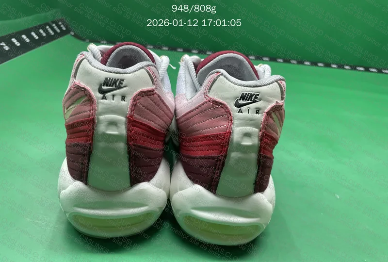 Air Max 95 Anatomy 2