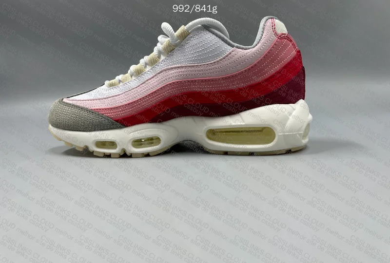 Air Max 95 Anatomy of Air 2