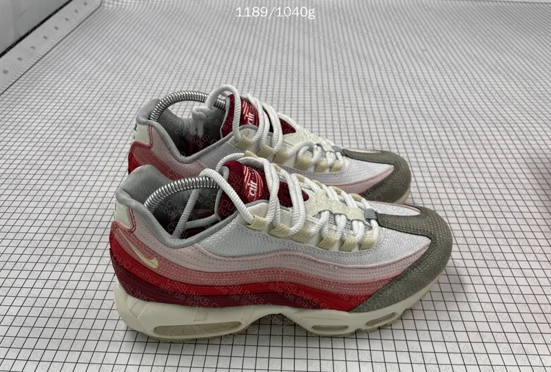 Air Max 95 Anatomy of Air 2