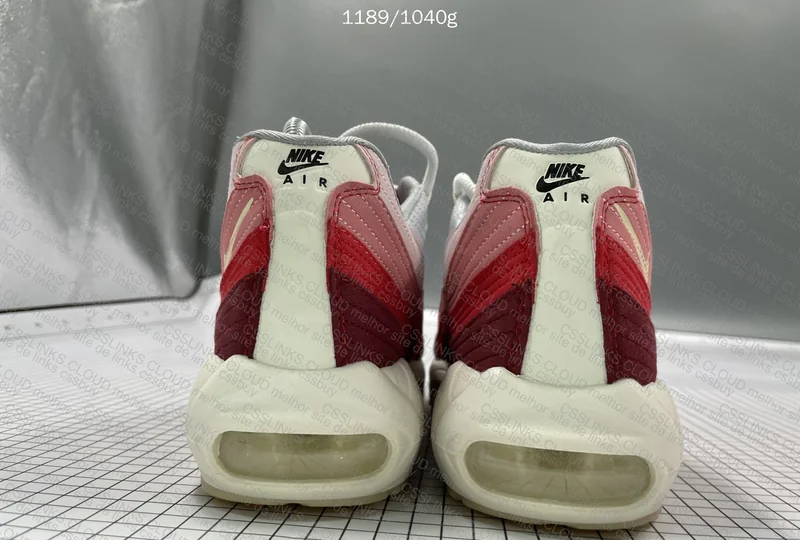 Air Max 95 Anatomy of Air 5