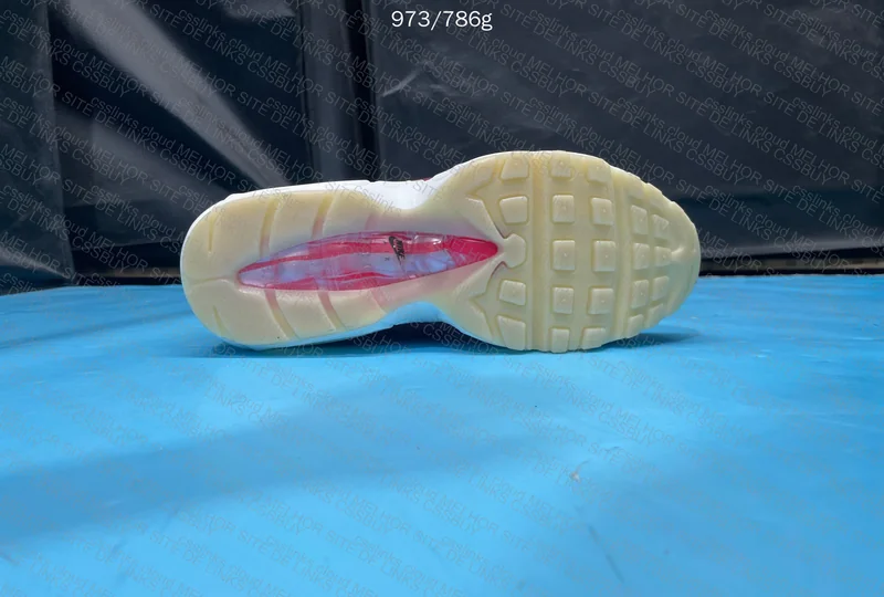Air Max 95 Anatomy of Air 2