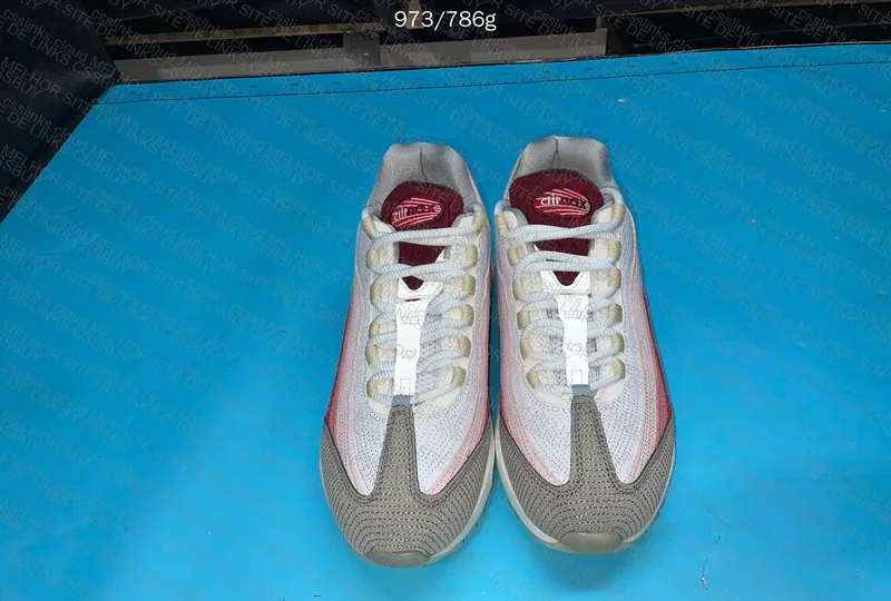 Air Max 95 Anatomy of Air 5