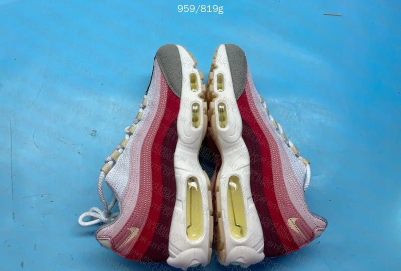 Air Max 95 Anatomy of Air