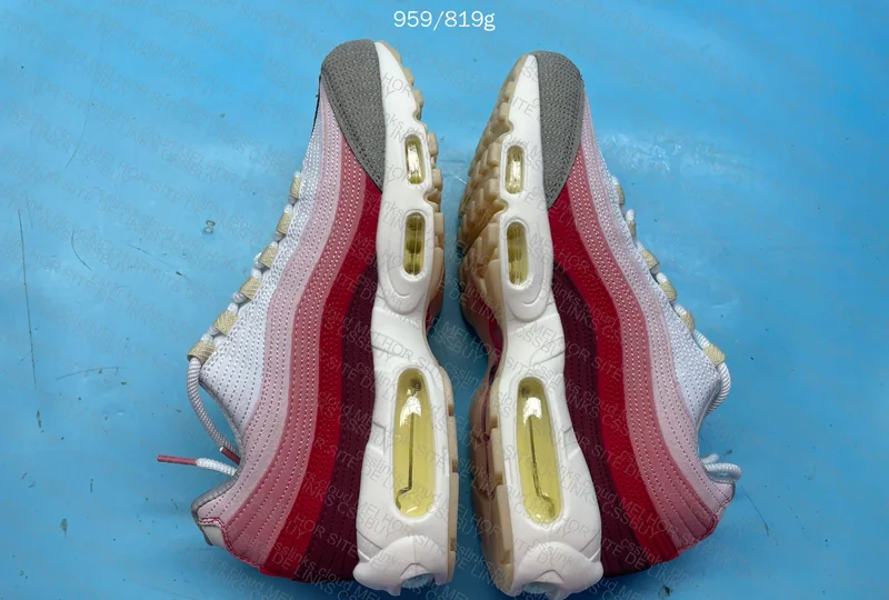 Air Max 95 Anatomy of Air 6