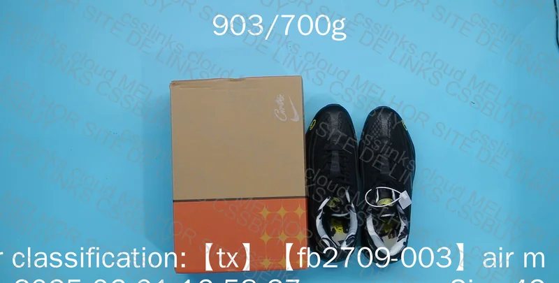 Air Max 95 Corteiz (Free Sneakers?)
