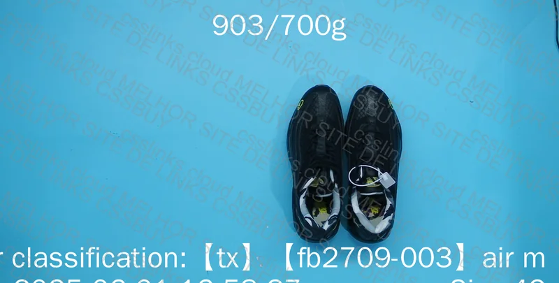 Air Max 95 Corteiz (Free Sneakers?) 3