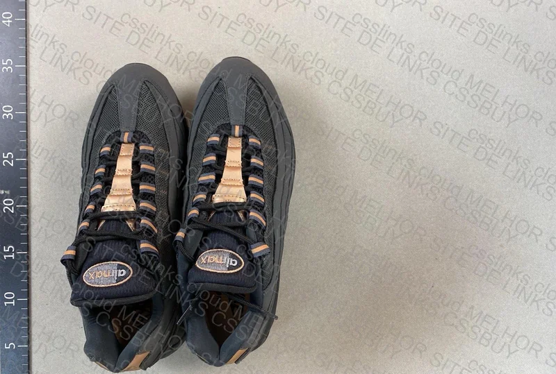 Air Max 95 Syna 2