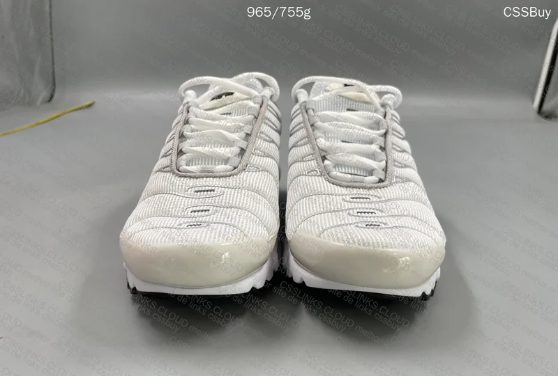 Air Max Plus Max TN 5