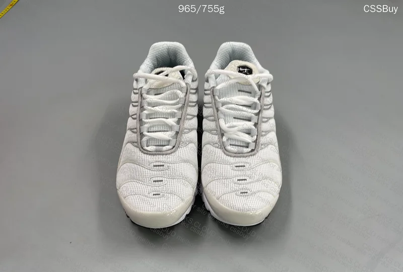 Air Max Plus Max TN 6