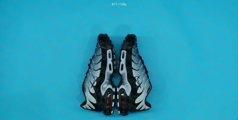 Air Max Plus Metalic Silver