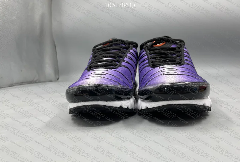 Air Max Plus TN 2