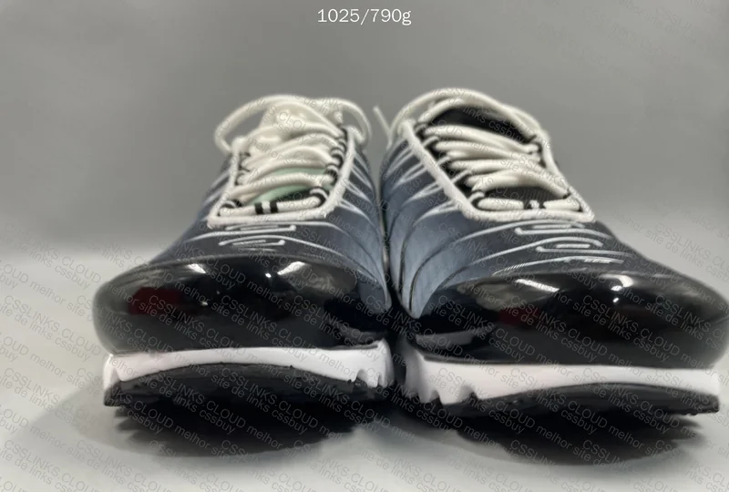 Air max Plus Tn 2
