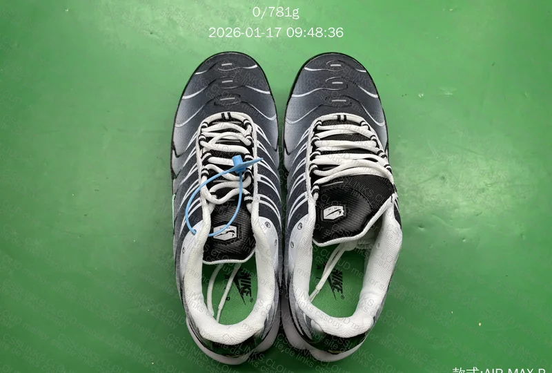 AIR MAX PLUS TN 2