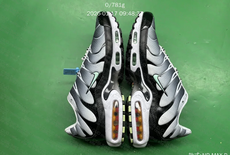 AIR MAX PLUS TN 3