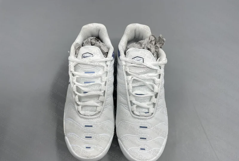Air Max Plus TN Ashe Slate