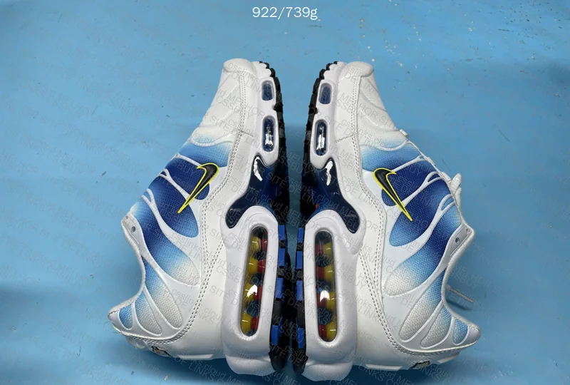Air Max Plus TN Blue Jay