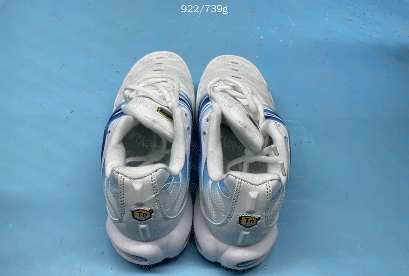 Air Max Plus TN Blue Jay 2