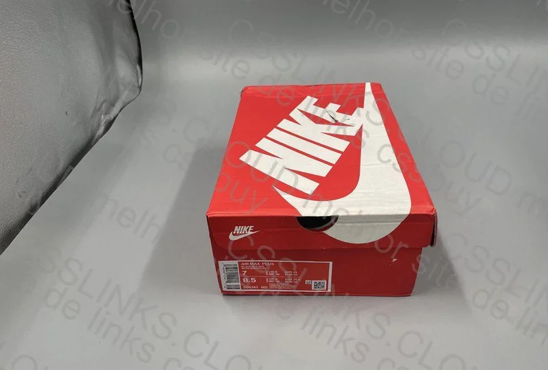 Air Max Plus TN (GL?? Ajudem) 2