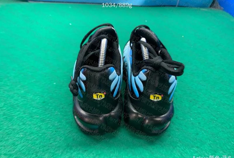 Air max plus Tn neptune blue 2