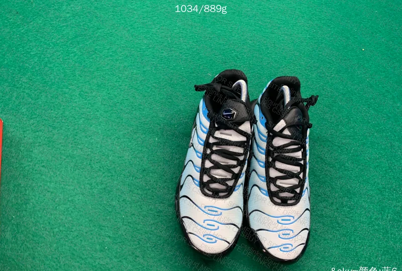 Air max plus Tn neptune blue 4
