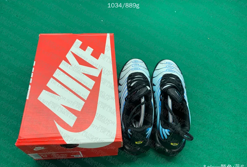 Air max plus Tn neptune blue 5