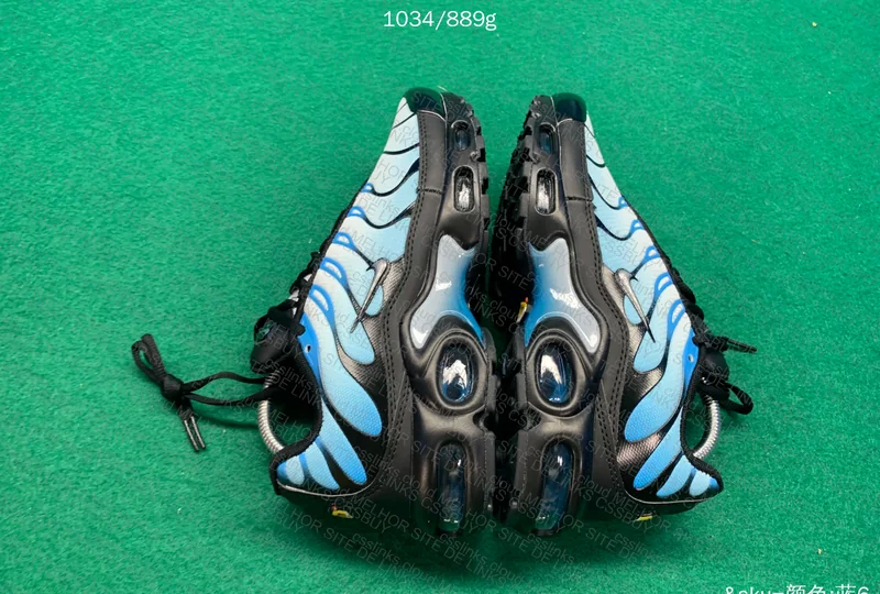 Air max plus Tn neptune blue 6