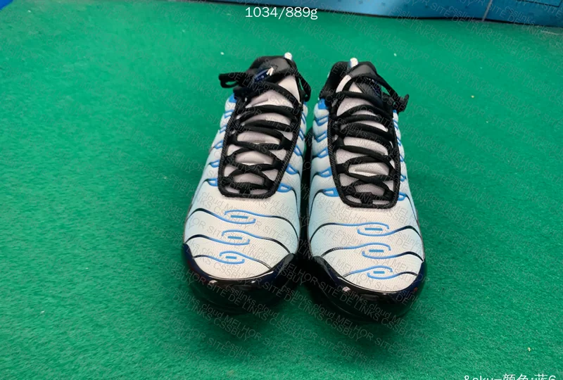 Air max plus Tn neptune blue 7