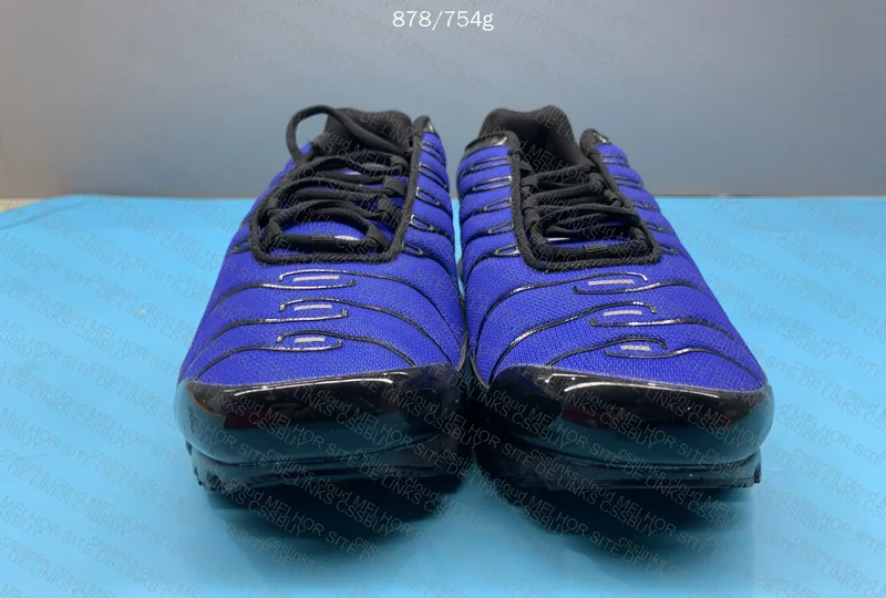 Air Max plus TN Racer Blue
