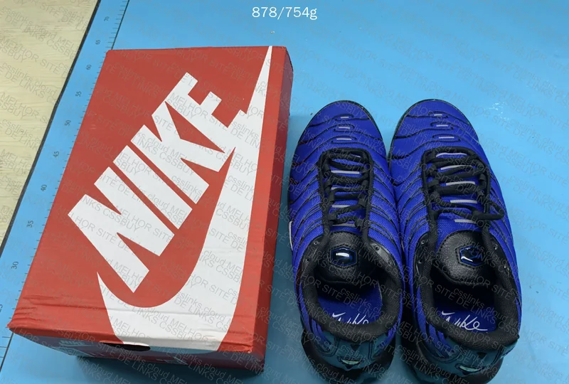 Air Max plus TN Racer Blue 10