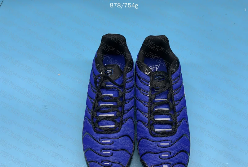 Air Max plus TN Racer Blue 2