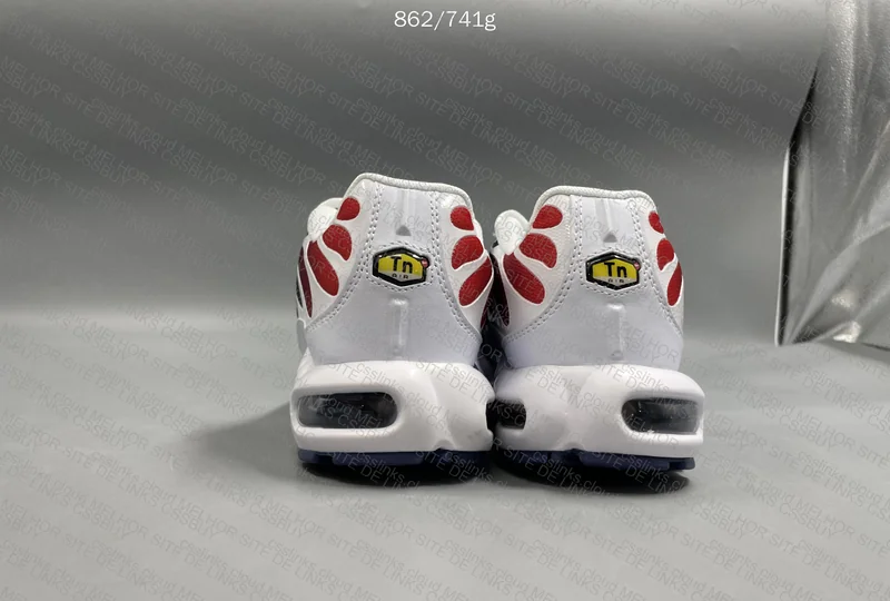 AIR MAX TN 1 3