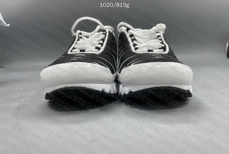 Air max tn 1º haul 3