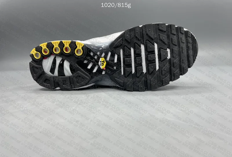Air max tn 1º haul 5
