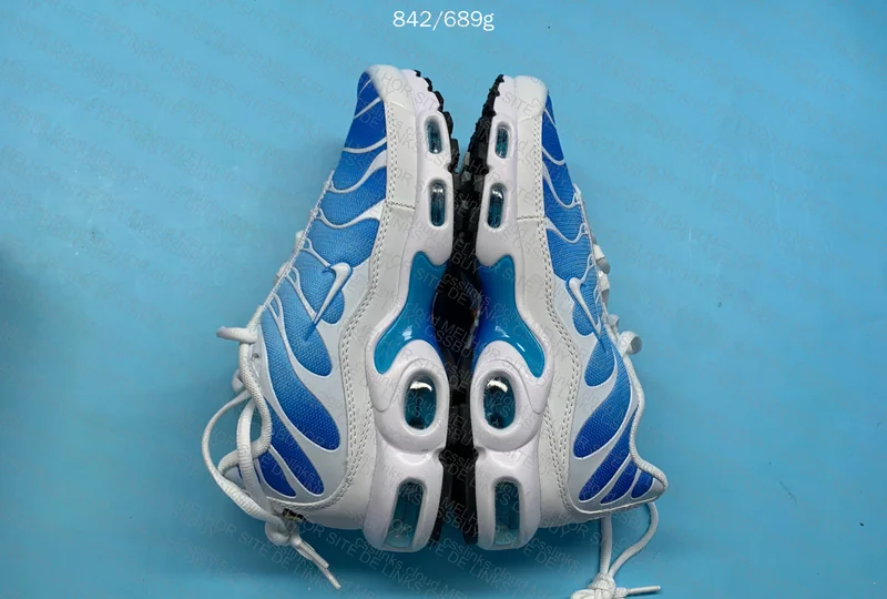 Air Max TN Blue 2