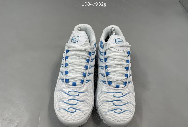 Air Max TN "Blue Fury" Putian