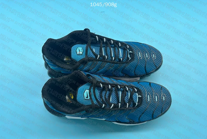 Air max TN Blue Grid 5