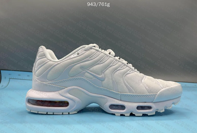 AIR MAX TN (first compra) 2