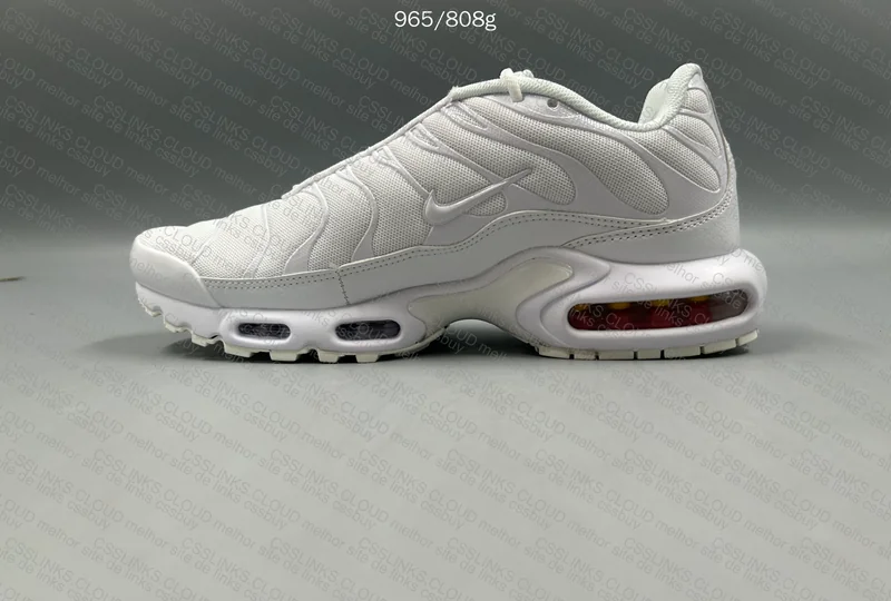 Air max TN (GL?)