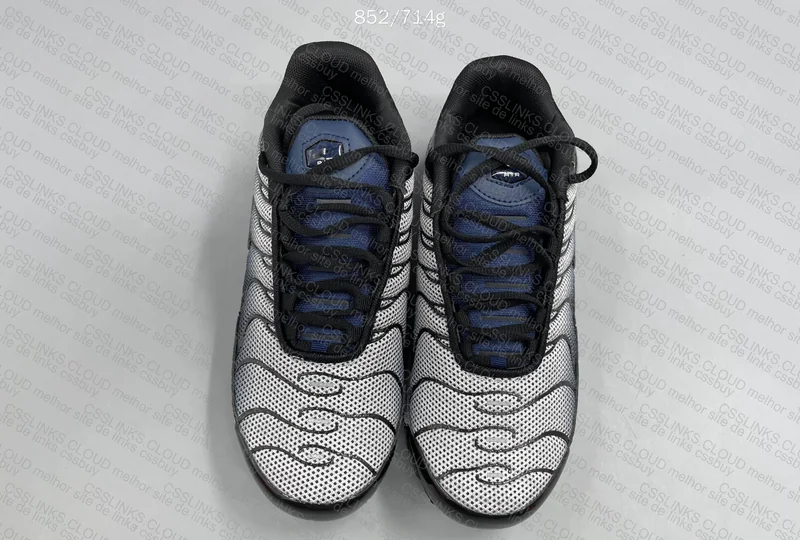 Air Max Tn “midnight navy” gl?